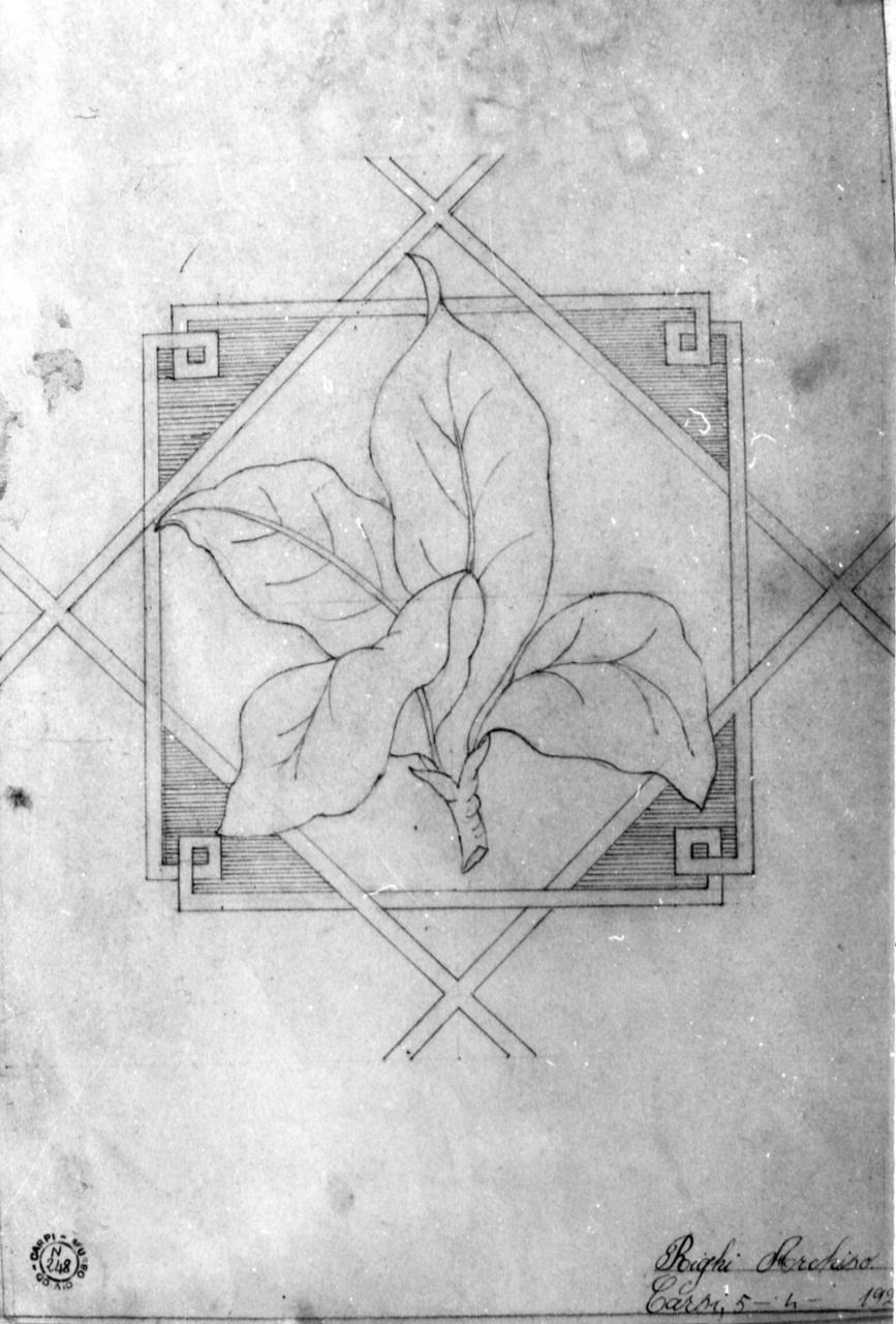 motivi decorativi geometrici e vegetali (disegno) di Righi Archipo (sec. XX)