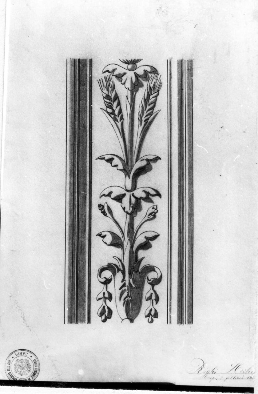 motivi decorativi a candelabra (disegno) di Righi Archipo (sec. XX)
