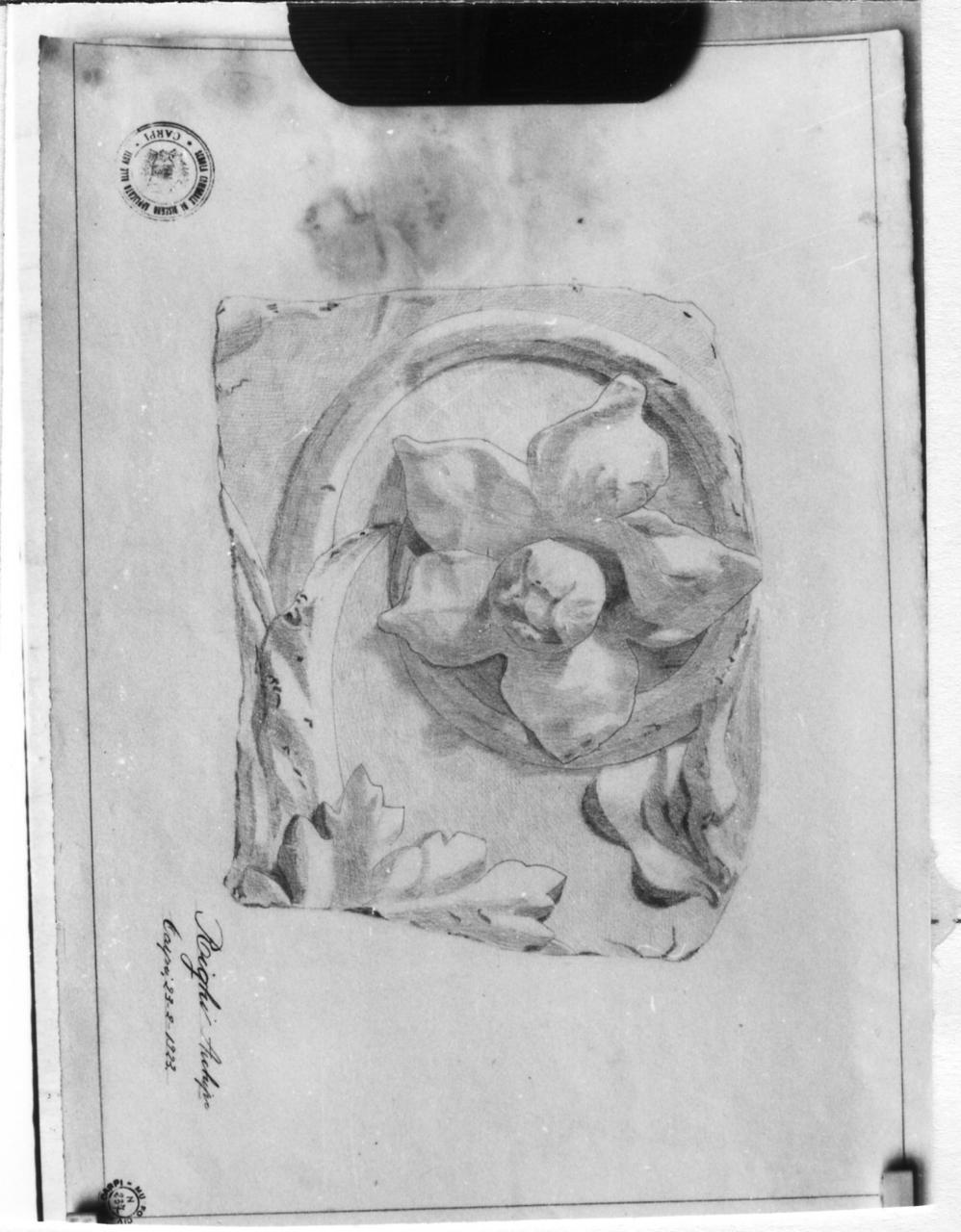 bassorlievo all'antica con racemi (disegno) di Righi Archipo (sec. XX)