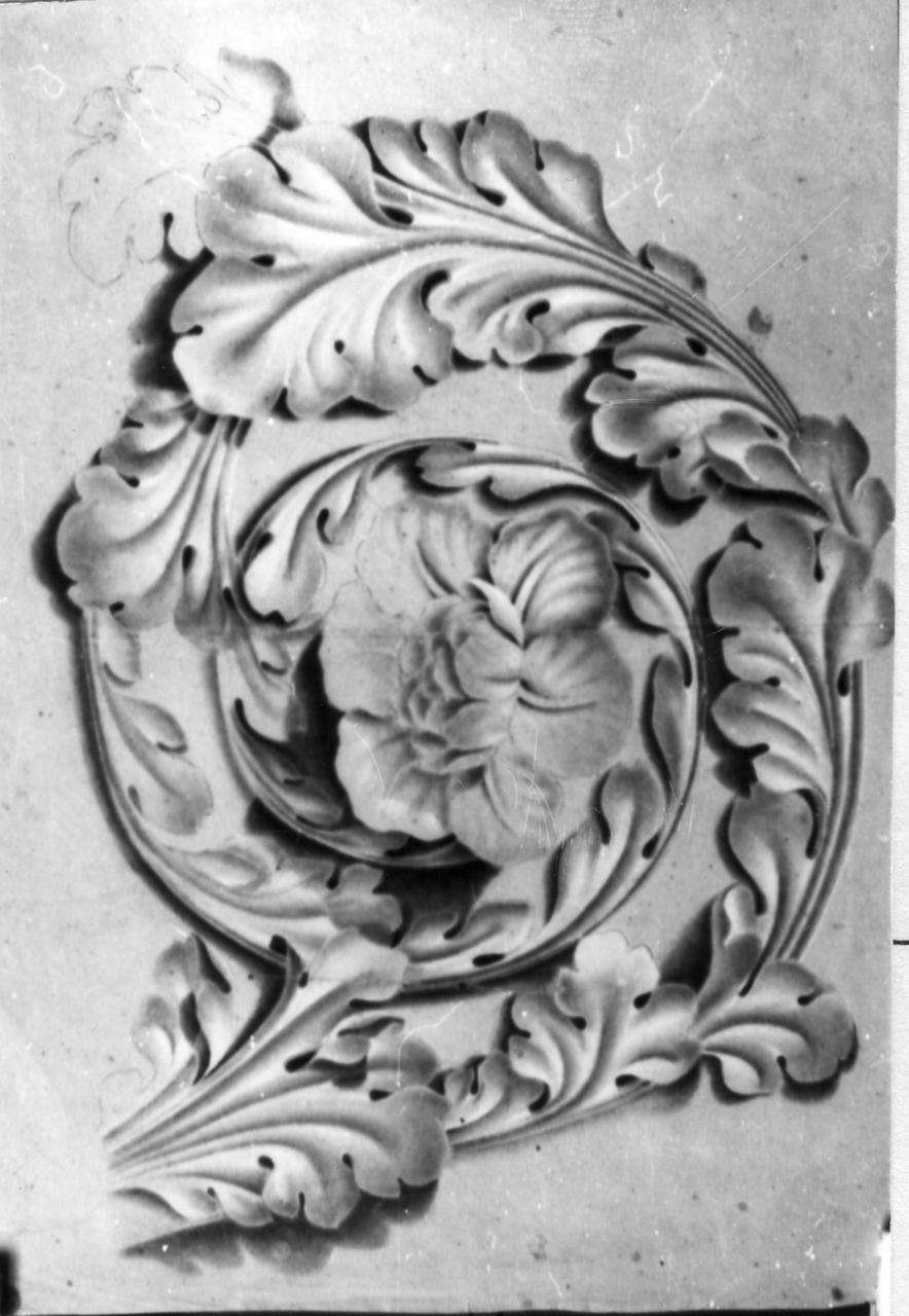 foglia d'acanto (disegno) - ambito modenese (fine sec. XIX)