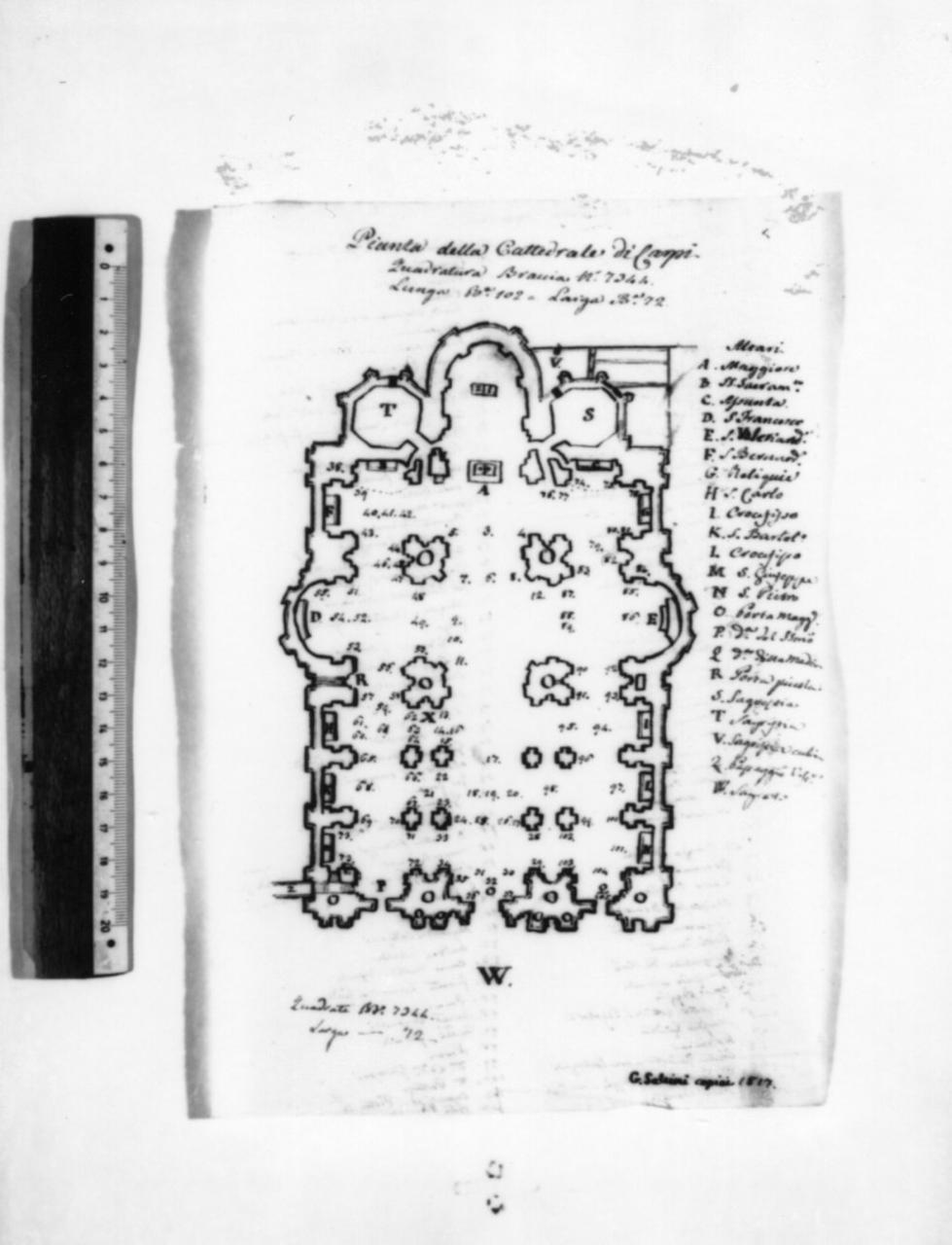 pianta della Cattedrale di Carpi (disegno) di Saltini Giuseppe (sec. XIX)