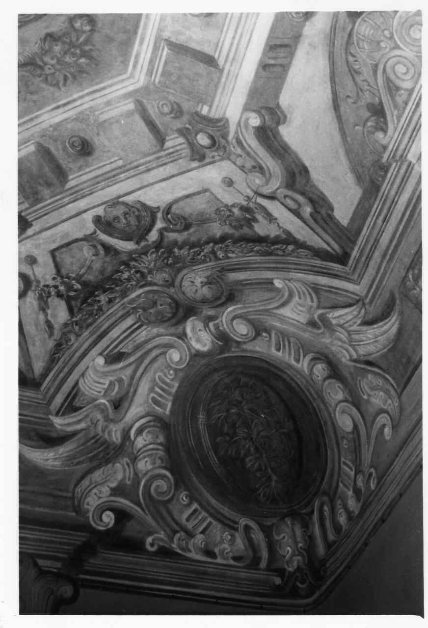 elementi decorativi (decorazione pittorica) di Violi Pietro (sec. XIX)