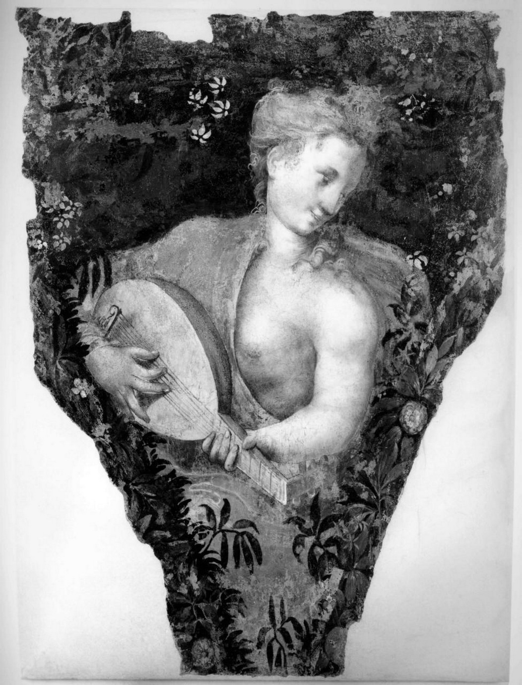 suonatrice di mandola (dipinto) di Dell'Abate Niccolò (sec. XVI)