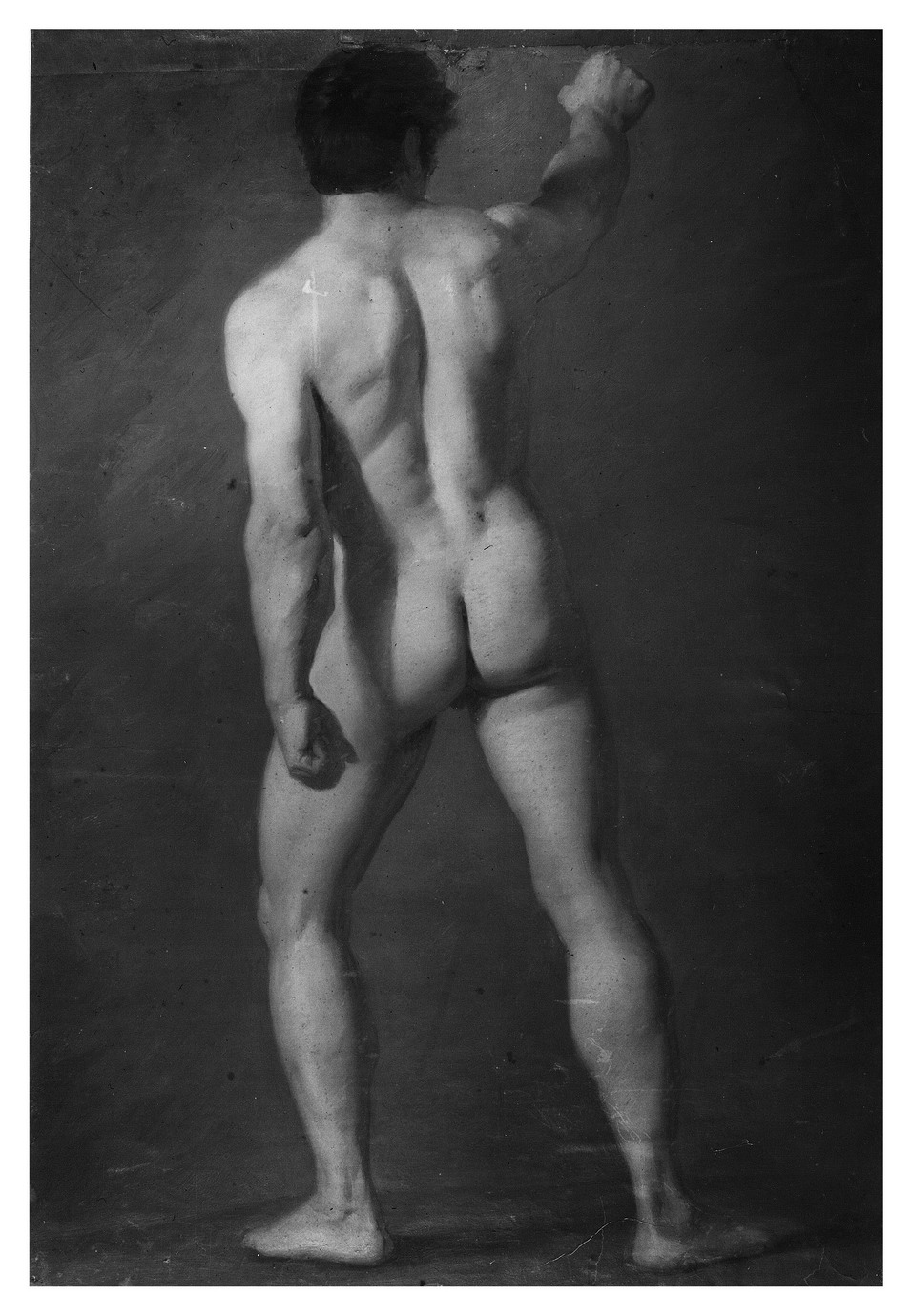 studio di nudo virile (dipinto) di Malatesta Adeodato (sec. XIX)