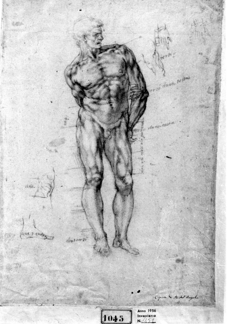 nudo virile (disegno) - ambito italiano (seconda metà sec. XVI)