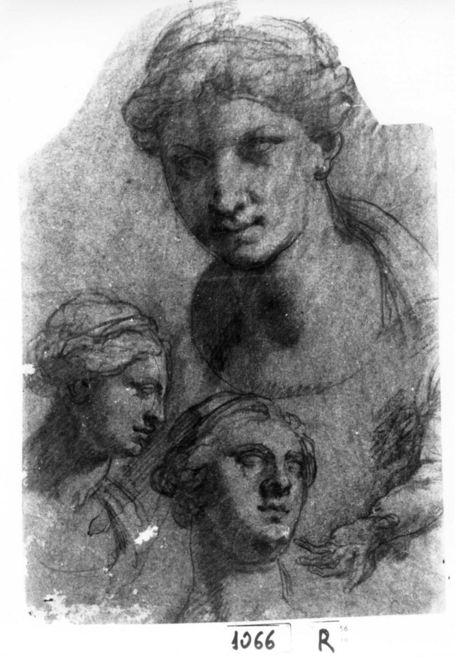 tre studi di teste femminili (disegno) di Zuccari Taddeo (attribuito) (sec. XVI)