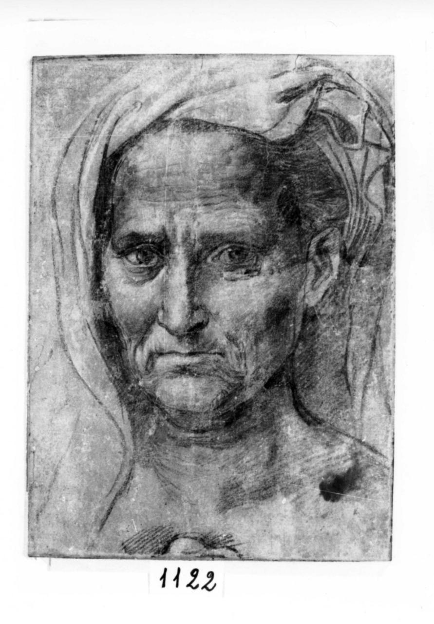 Testa di Sant'Anna (disegno) di Sanzio Raffaello (scuola) (sec. XVI)