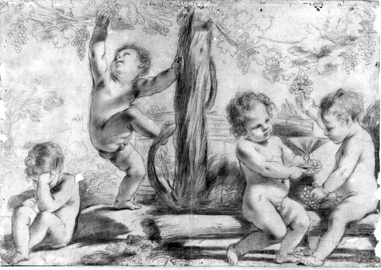 putti che vendemmiano (disegno) di Barbieri Giovan Francesco detto Guercino (maniera) (seconda metà sec. XVII)