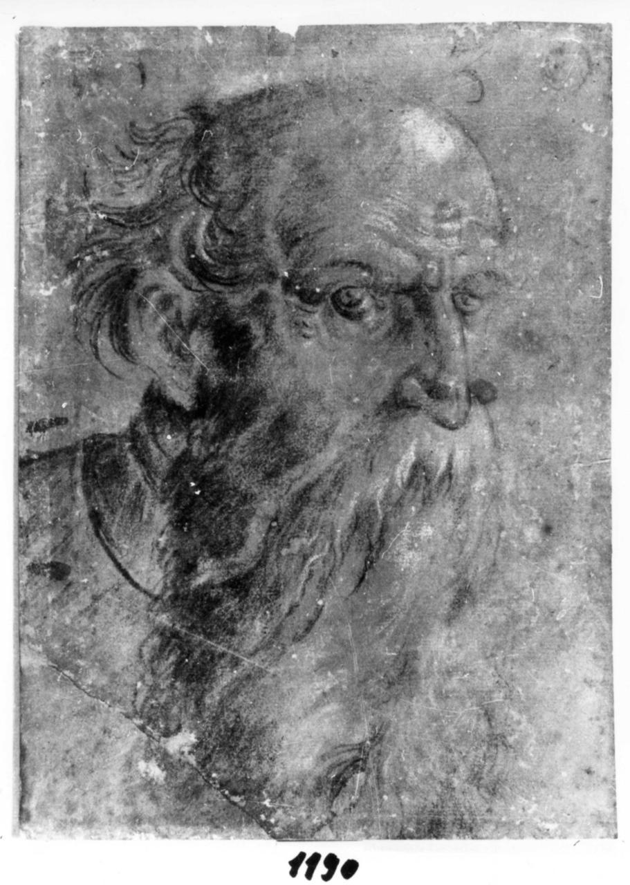 Testa di vecchio (disegno) di Wolf Huber (attribuito) (prima metà sec. XVI)
