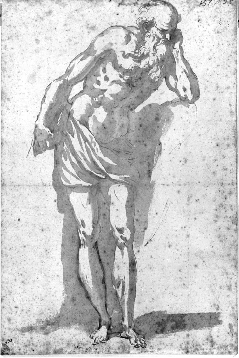 Studio per San Girolamo, San Girolamo (disegno) - ambito emiliano (ultimo quarto sec. XVI)