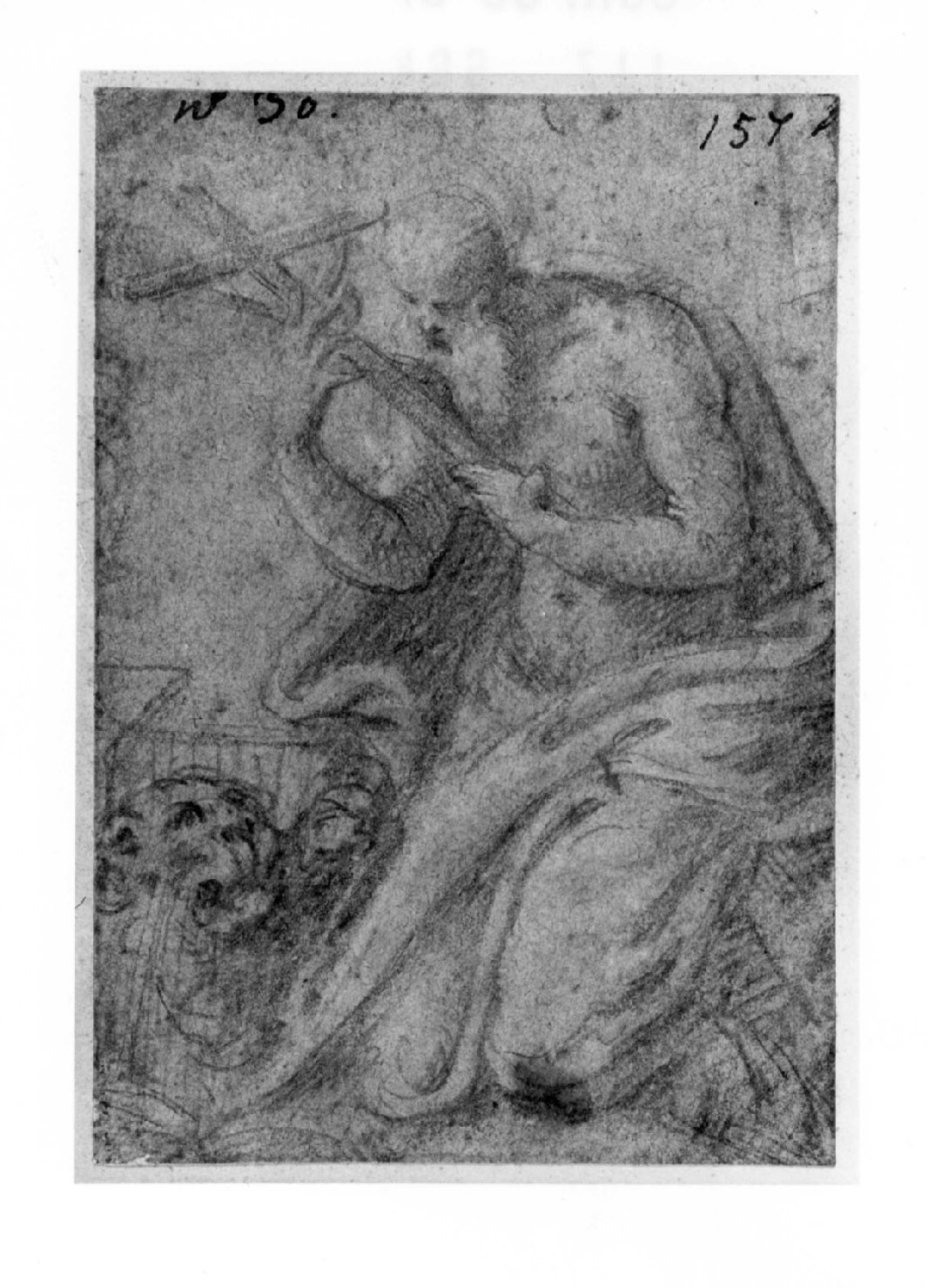 San Girolamo e il leone, San Girolamo (disegno) di Campi Bernardino (secondo quarto sec. XVI)