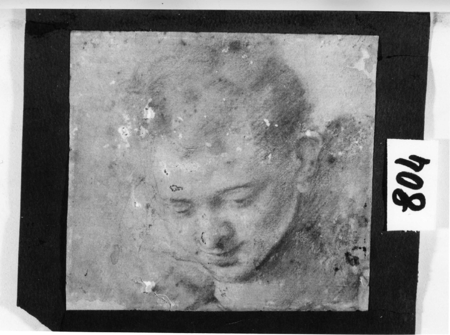 Testa di giovane rivolto in basso, testa d'uomo (disegno, opera isolata) di Faccini Pietro (fine sec. XVI)