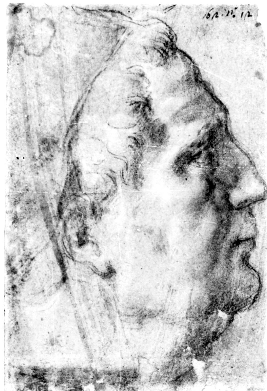 Studio per la testa di Vitellio, di profilo, testa d'uomo di profilo (disegno, opera isolata) di Campi Antonio (seconda metà sec. XVI)