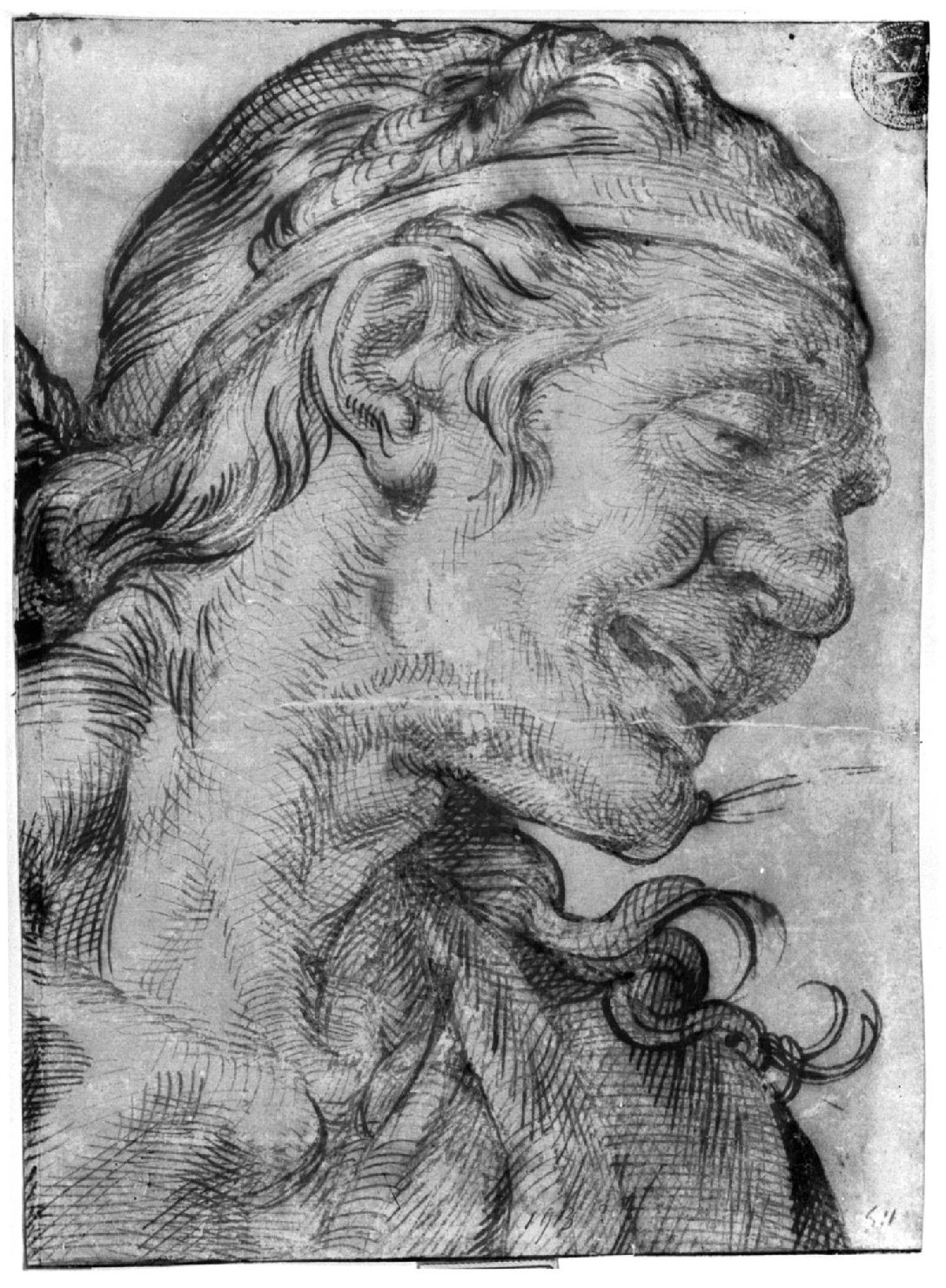Testa di vecchia di profilo, ritratto di donna (disegno, opera isolata) di Passerotti Bartolomeo (seconda metà sec. XVI)