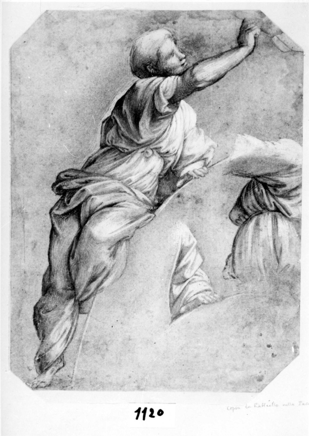 Sibilla e particolare (da Raffaello) e studio di panneggio, Sibilla Cumana (disegno) di Francucci Innocenzo detto Innocenzo da Imola (primo quarto sec. XVI)