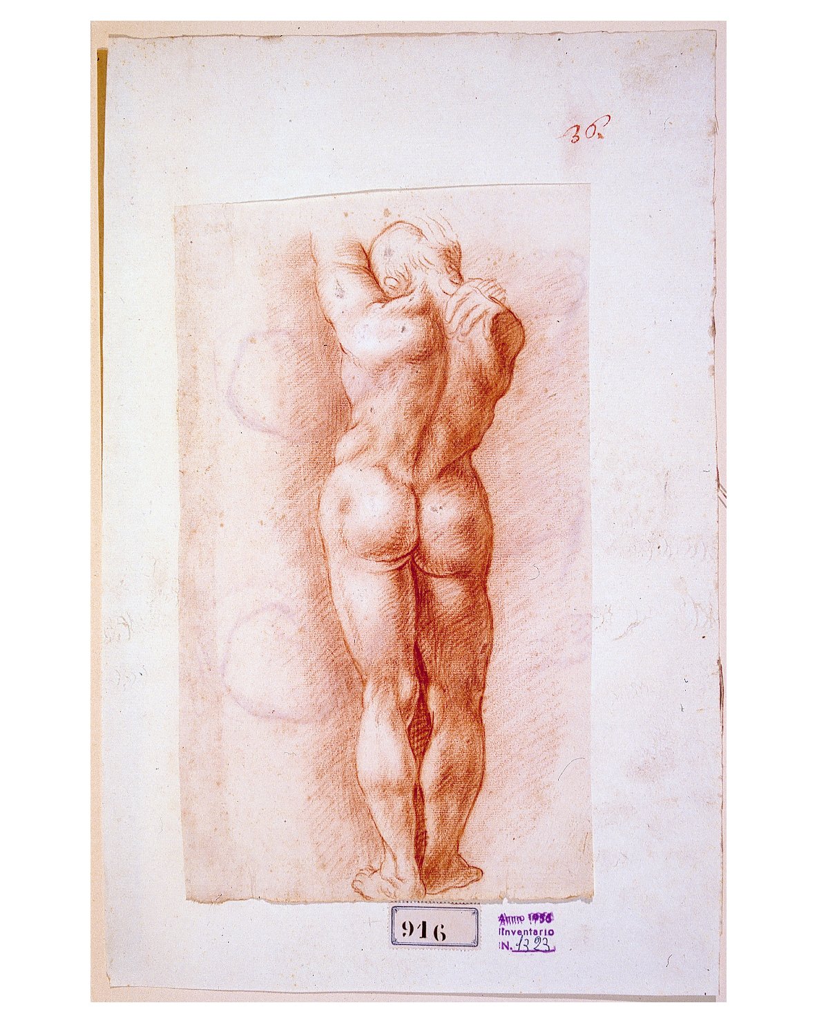 Studio per un nudo di schiena ('recto'); Studio di gambe ('verso'), figura maschile (disegno) - ambito bolognese (prima metà sec. XVII)