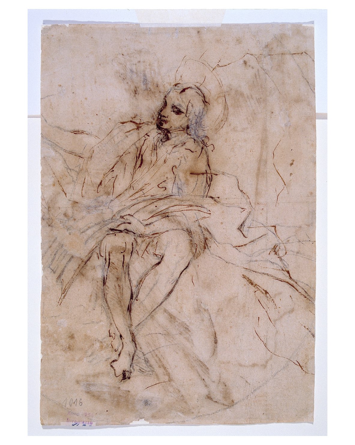 Studio per San Paolo ('recto'); Studio per un Santo ('verso'), San Paolo (disegno) di Carracci Ludovico (attribuito) (ultimo quarto sec. XVI)