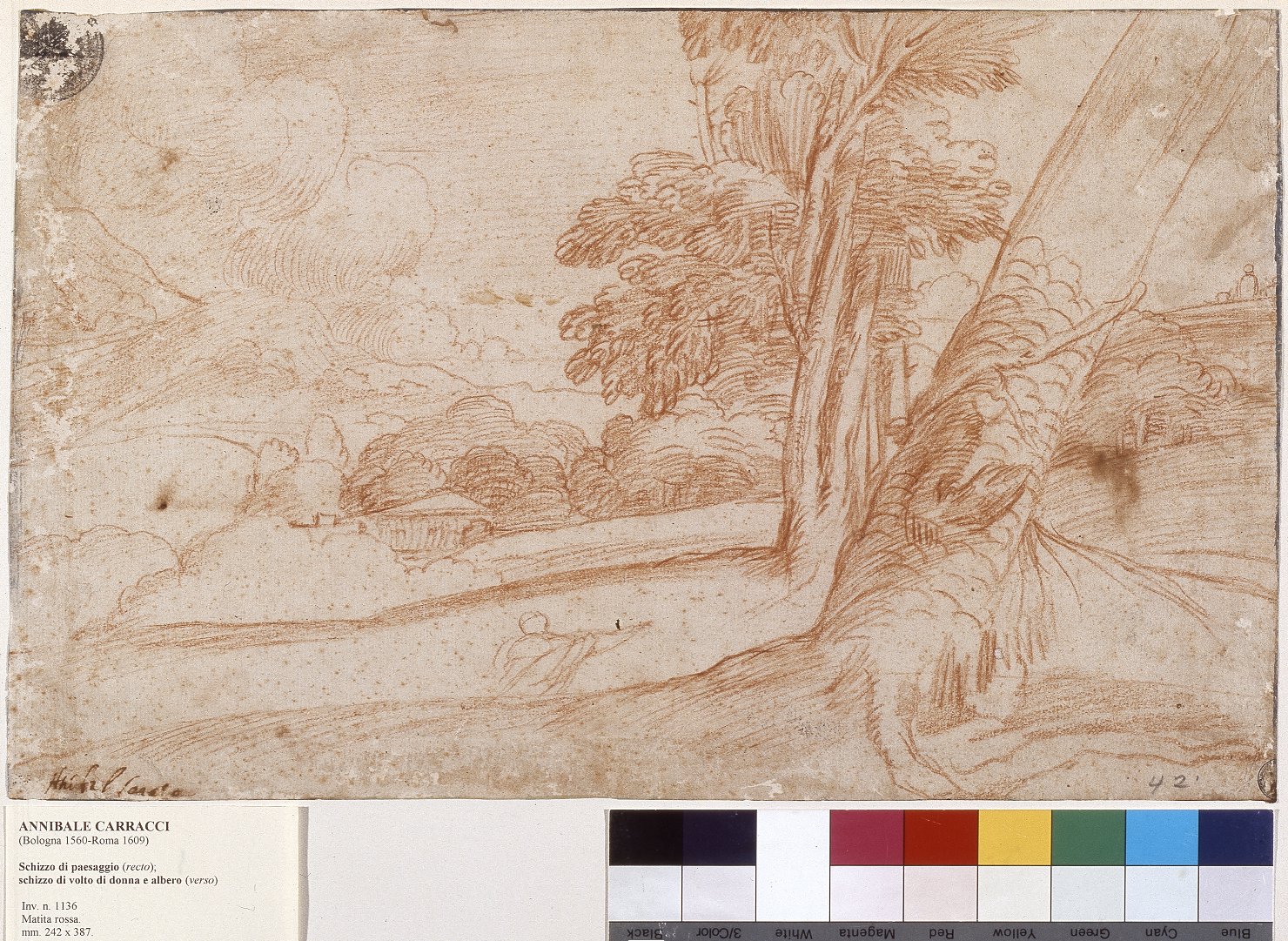 Schizzo di paesaggio con alberi ('recto'; Schizzo di volto e di un albero ('verso'), paesaggio con alberi (disegno) di Carracci Annibale (attribuito) (ultimo quarto sec. XVI)