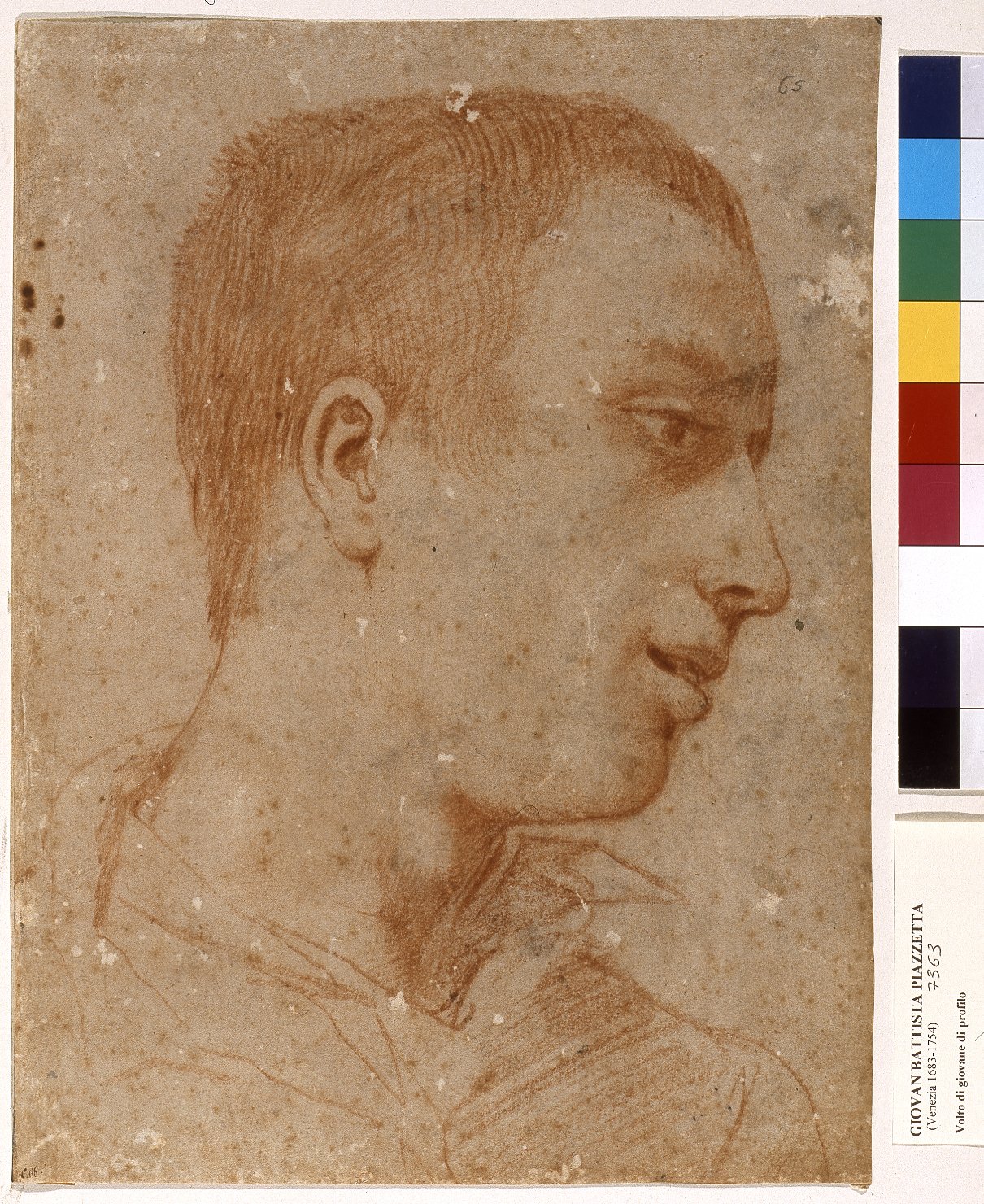 Ritratto di giovane di profilo ('recto'); Schizzo di profilo e braccio ('verso'), busto di giovane (disegno) di Carracci Annibale (bottega) (fine sec. XVI)