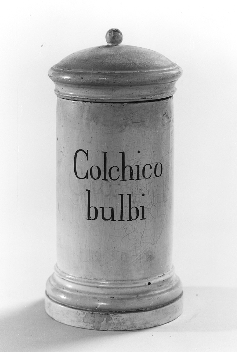 barattolo - manifattura parmense (?) (sec. XIX)