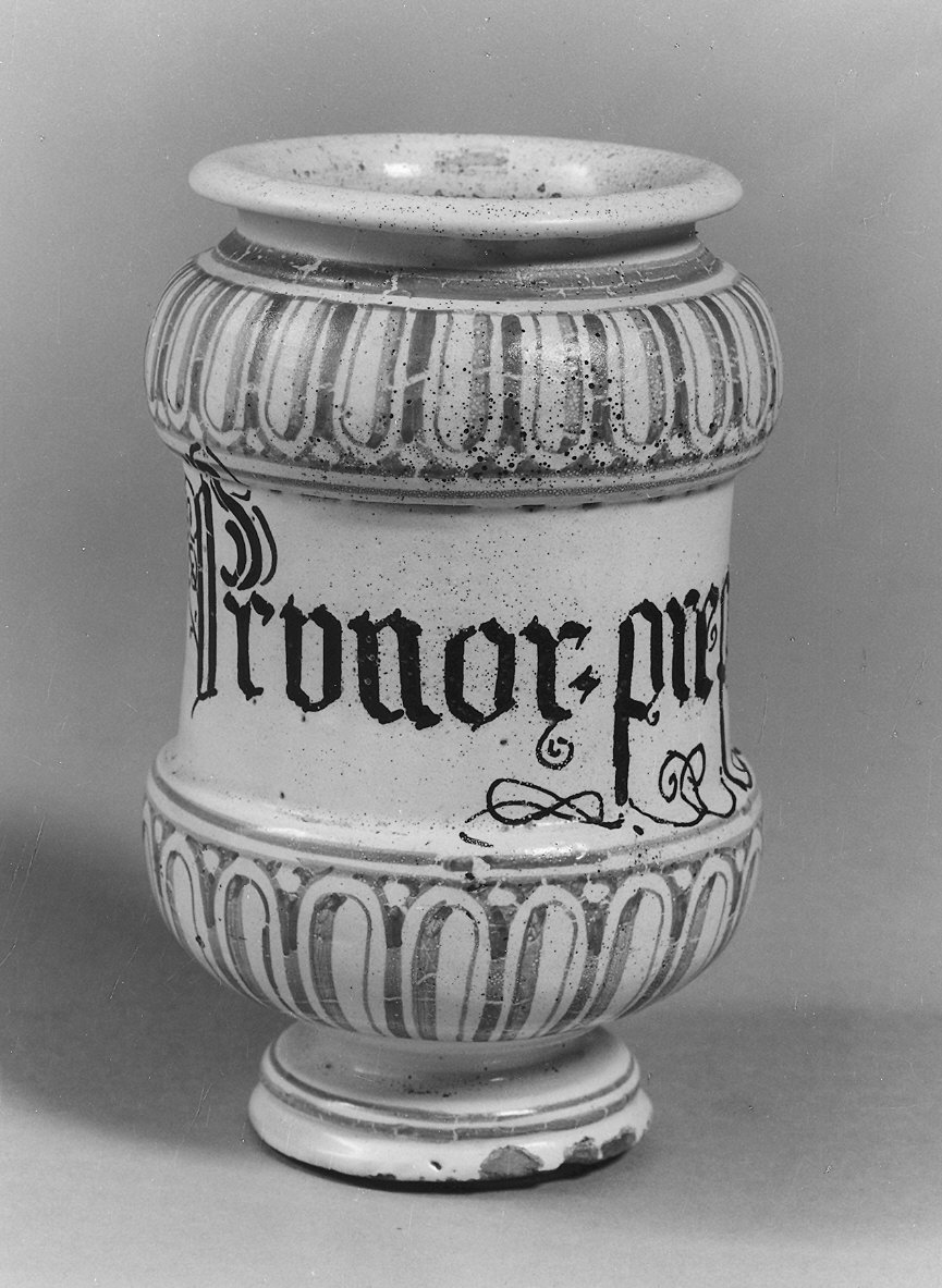 alberello - manifattura Italia settentrionale (inizio sec. XVIII)