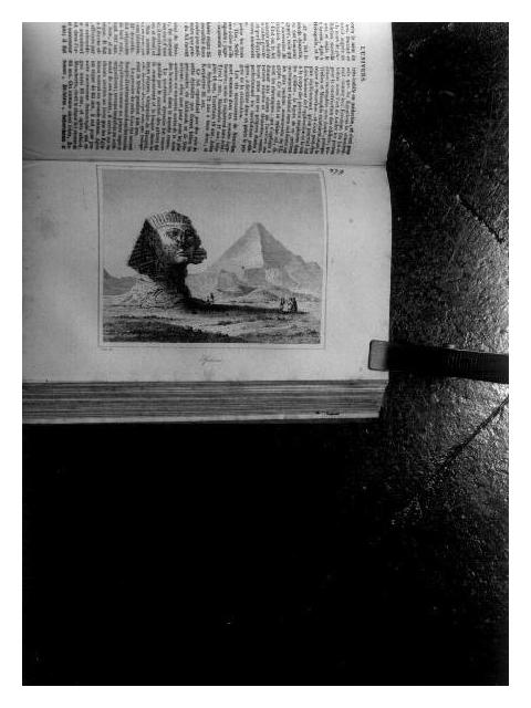 sfinge (stampa, elemento d'insieme) di Arnout Louis Jules, Lamaitre Clara (secondo quarto sec. XIX)