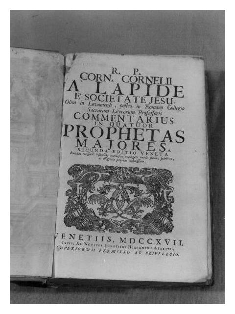motivi decorativi vegetali stilizzati (stampa) - PRODUZIONE VENETA (primo quarto sec. XVIII)