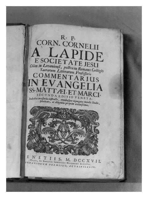 motivi decorativi vegetali stilizzati (stampa) - ambito veneto (primo quarto sec. XVIII)