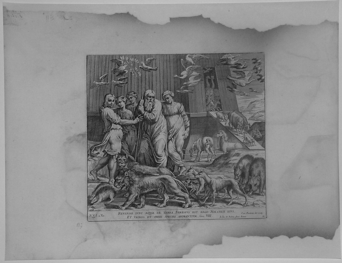 NOE' SCENDE DALL'ARCA (stampa, serie) di Fantetti Cesare, Sanzio Raffaello (bottega) (seconda metà sec. XVII)