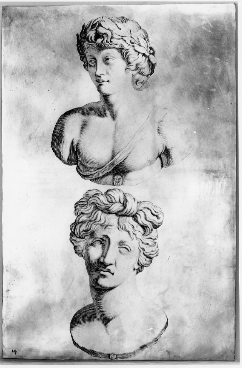 busto di Apollo (matrice, serie) di Natalis Michel, Von Sandrart Joachim, Guidi Giovanni Citosibio (sec. XVII)