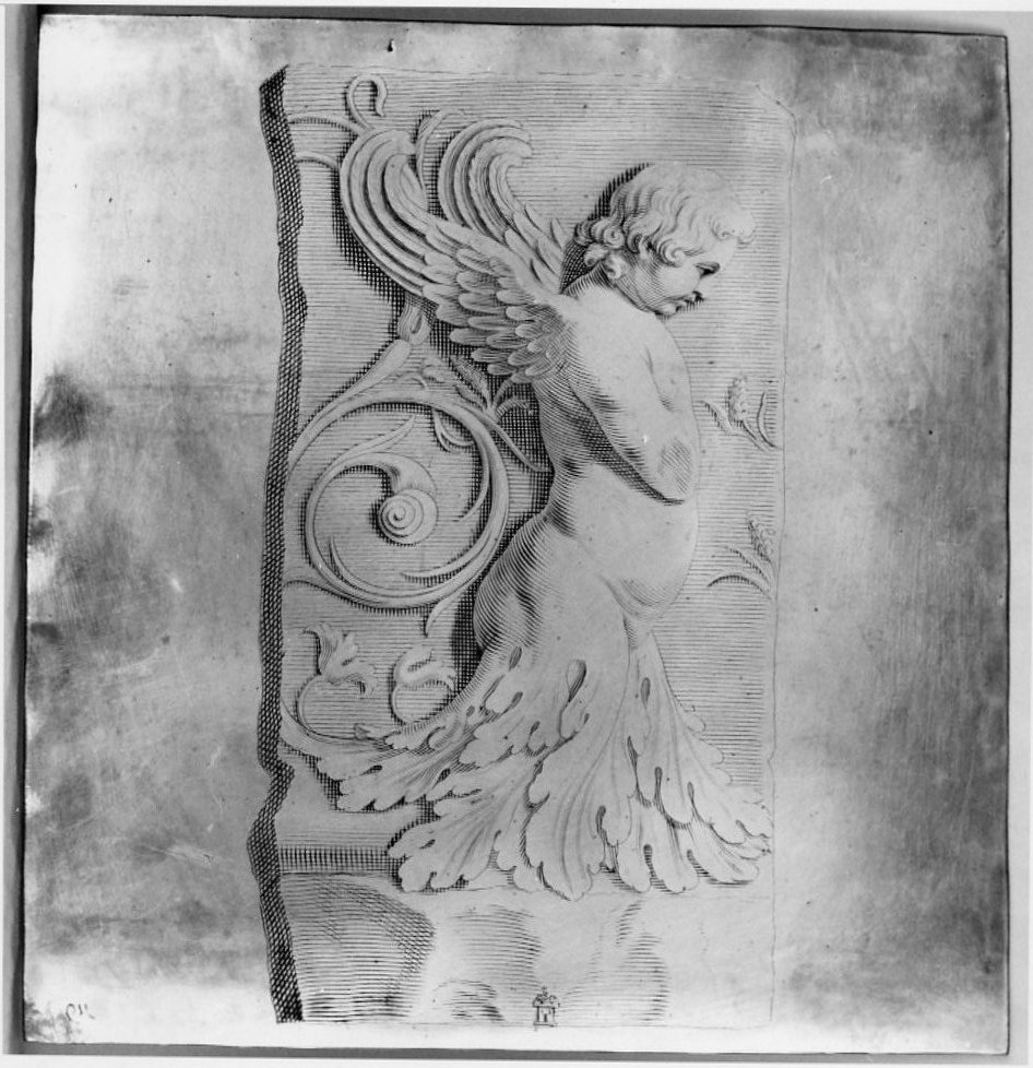 elementi decorativi (matrice, serie) di Natalis Michel (sec. XVII)