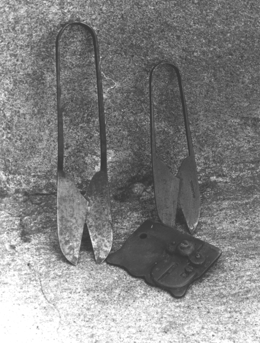 taglierina - produzione italiana (sec. XIX)