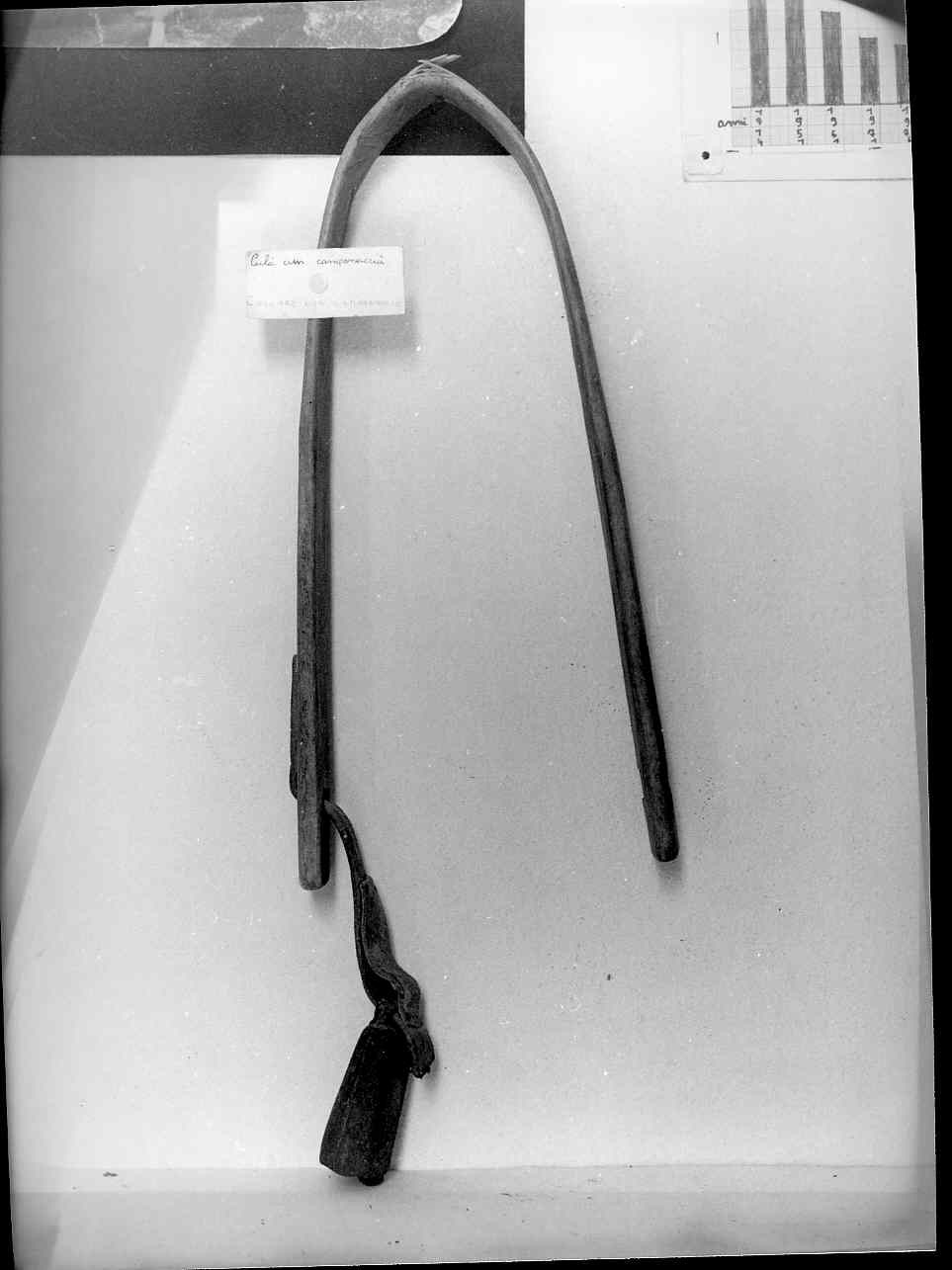 collare, strumenti - bottega ligure (sec. XIX fine)