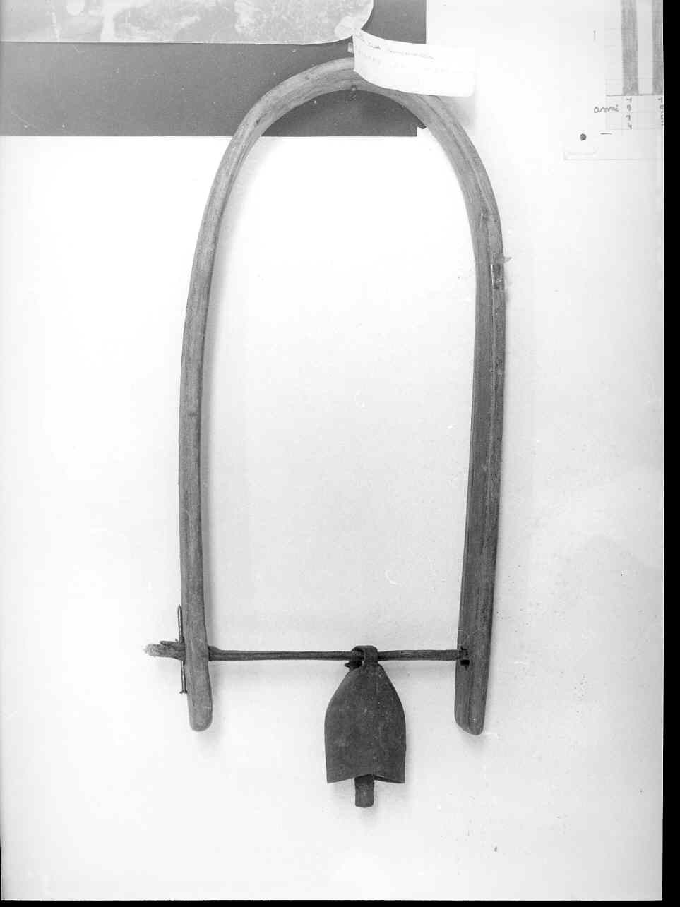 collare, attrezzi - bottega ligure (sec. XX inizio)