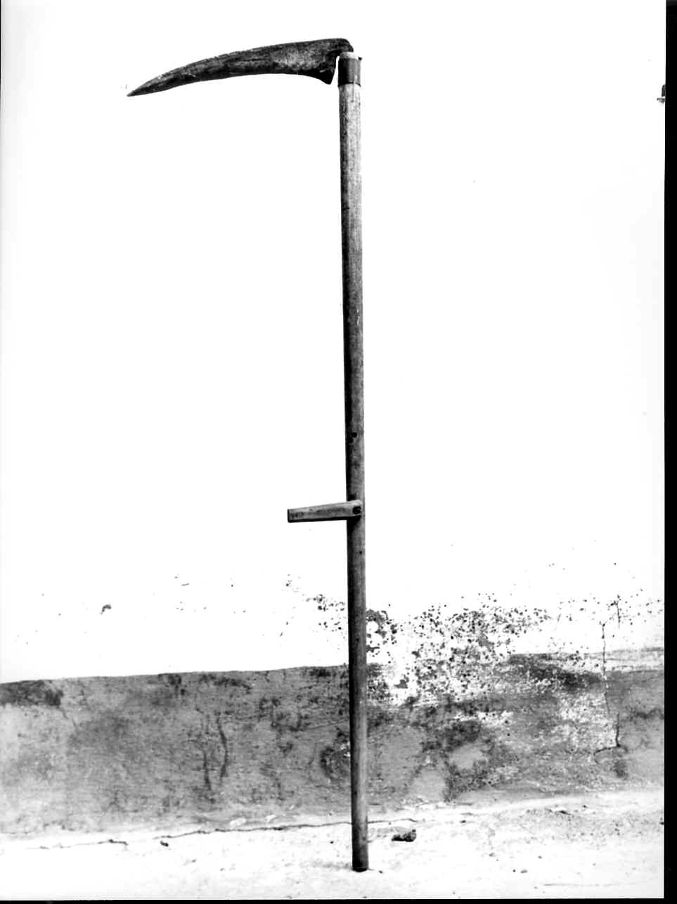 falce fienaia, attrezzi - bottega spezzina (sec. XX)