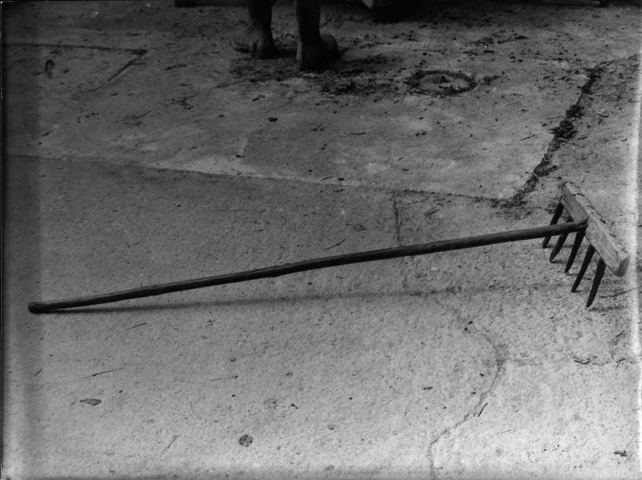 rastrello, attrezzi di Landi Imolo (contadino) - bottega spezzina (sec. XX)