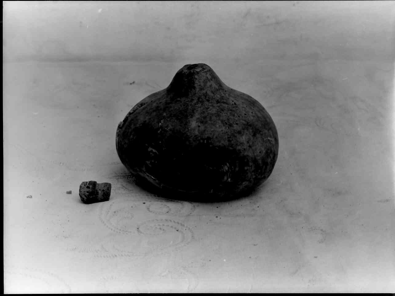 borraccia, contenitori - bottega ligure (sec. XIX)