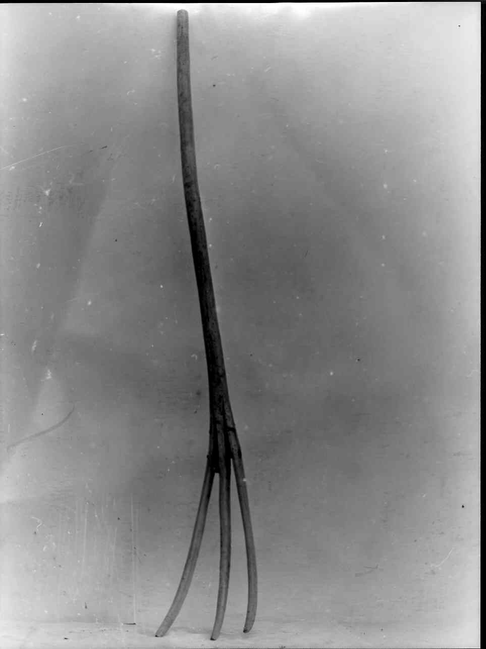 forca, attrezzi - bottega ligure (sec. XX)