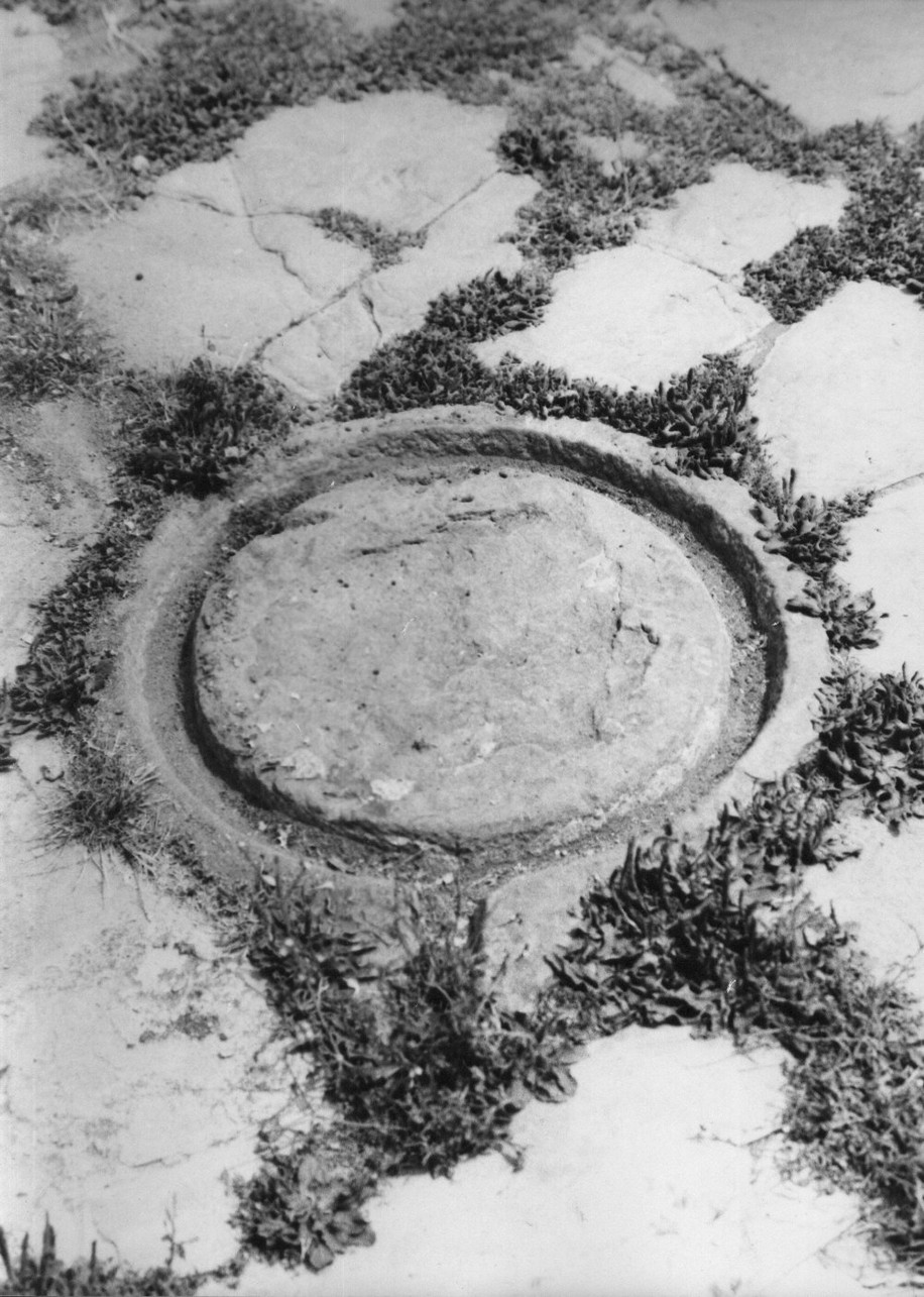 base di torchio, strumenti agricoli - Ortonovo (sec. XVIII)