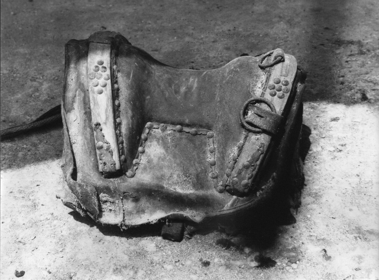 sella da tiro toscana, sellature - Ortonovo (sec. XIX)