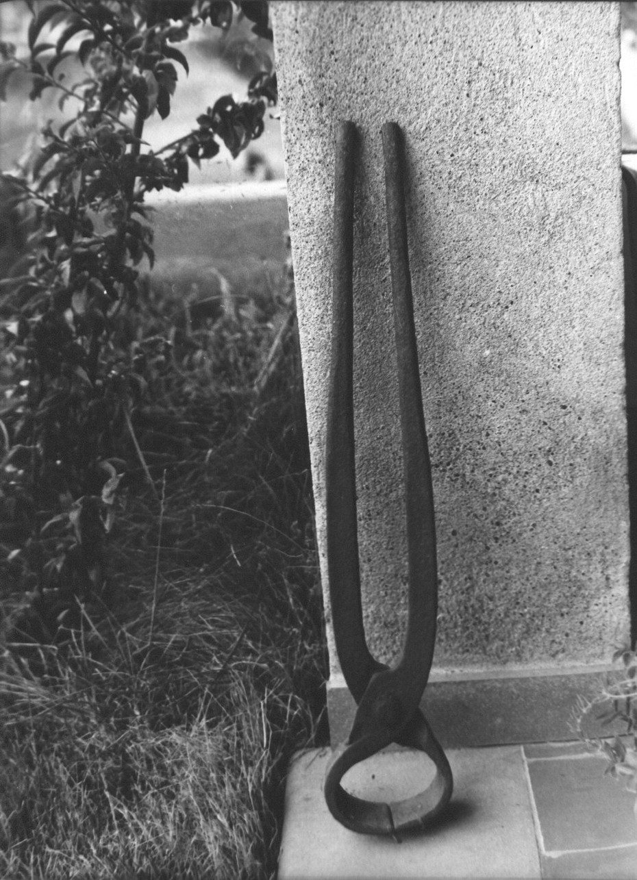 tenaglia, tenaglie da maniscalco, attrezzi - Castelnuovo Magra (sec. XX)