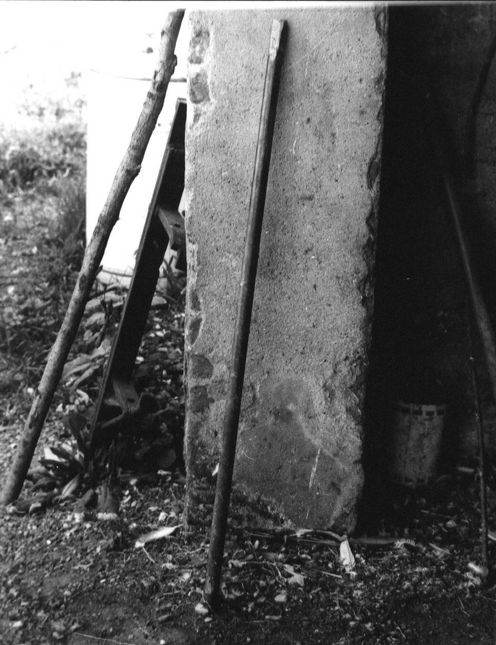 zappetta, attrezzi agricoli - Ortonovo (sec. XX)