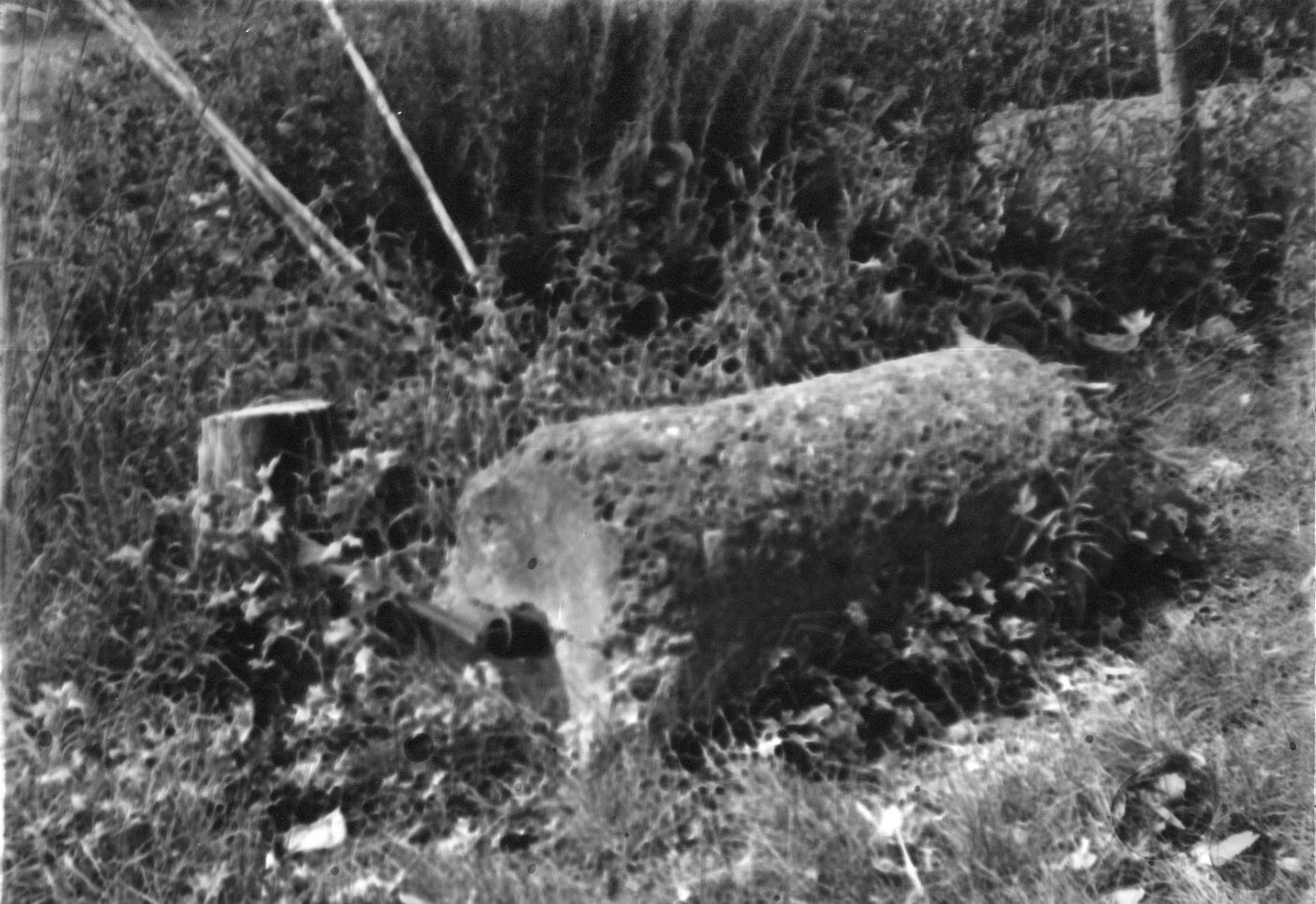 rullo, attrezzi agricoli - Ortonovo (sec. XX)