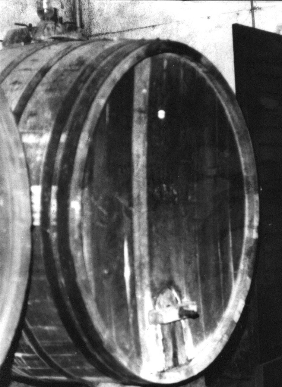 botte, botti da vino, recipienti - Ortonovo (1928)