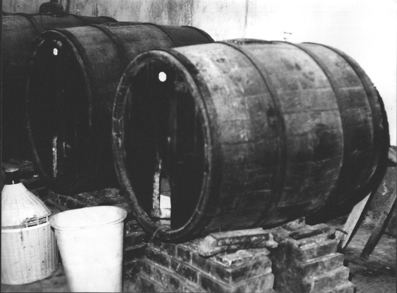 botte, botti da vino, recipienti - Ortonovo (1930)