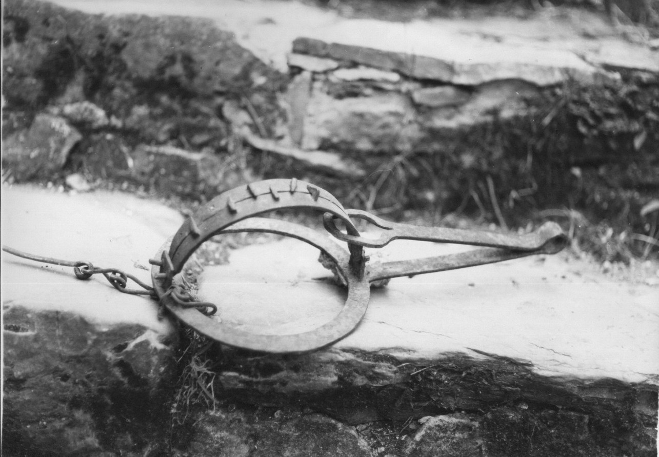 tagliola, trappole - Valbrevenna (sec. XIX)