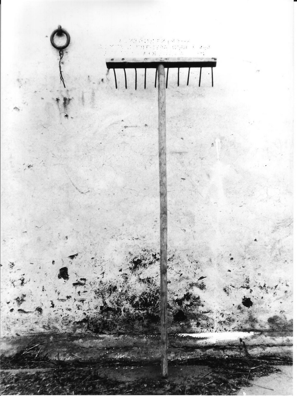 rastrello - produzione (sec. XX)