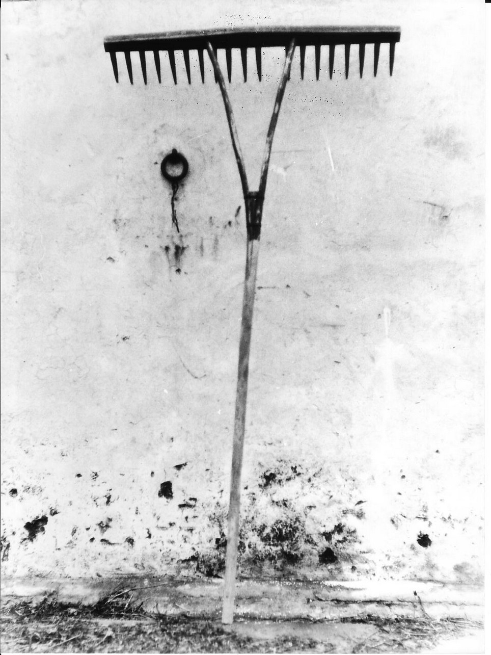 rastrello - produzione (sec. XX)