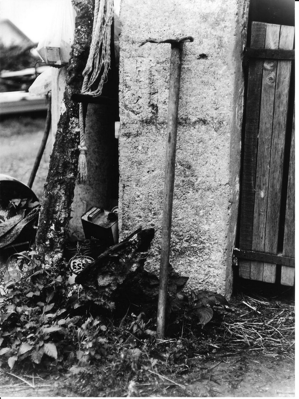 rastrello - produzione (sec. XX)