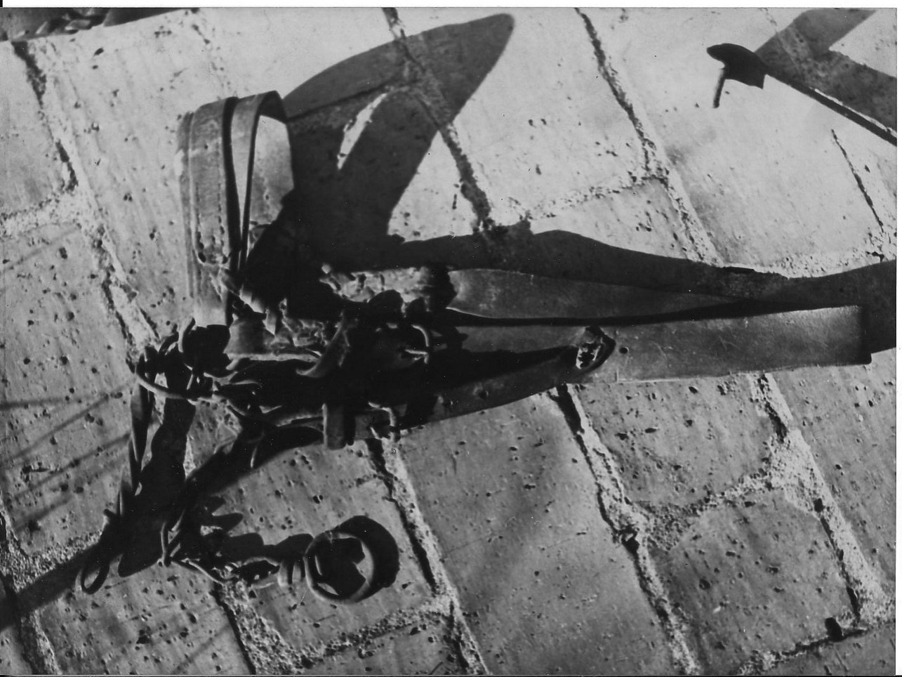 briglia - produzione (sec. XX inizio)